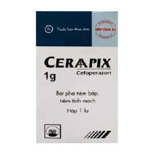 Ceraapix 1g Pymepharco 1 lọ