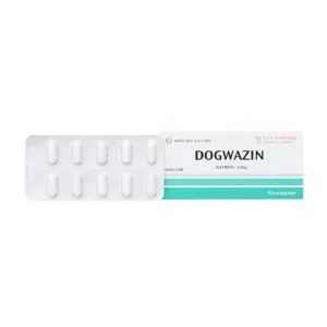 Dogwazin 50mg Thành Nam 3 vỉ x 10 viên