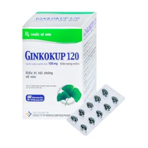 Ginkokup 120mg Korea United 6 vỉ x 10 viên