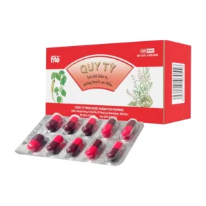 Quy Tỳ Fito Pharma 10 vỉ x 10 viên